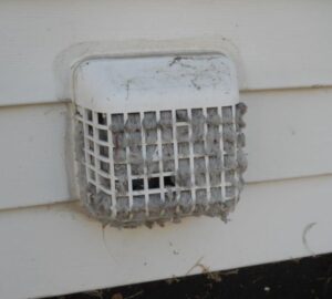 Dryer vent